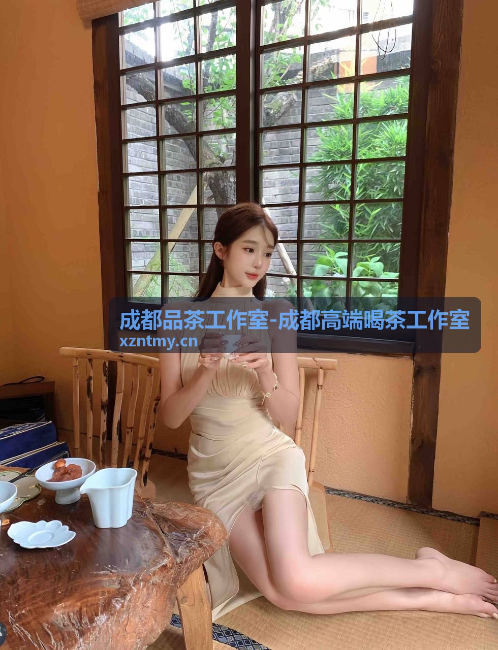 成都品茶工作室私享茶室环境