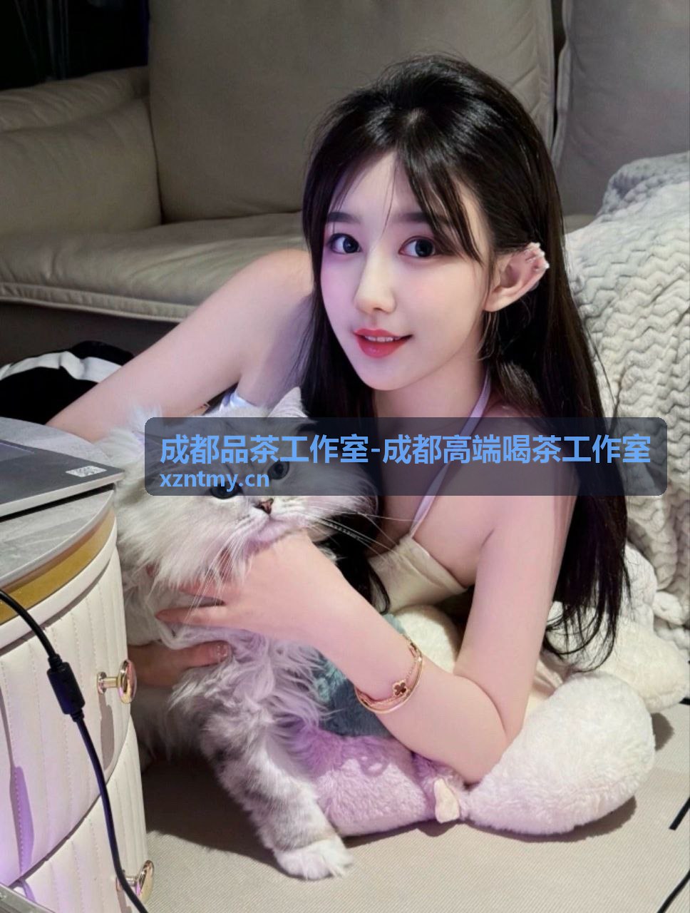 成都高端喝茶工作室沉浸式品鉴